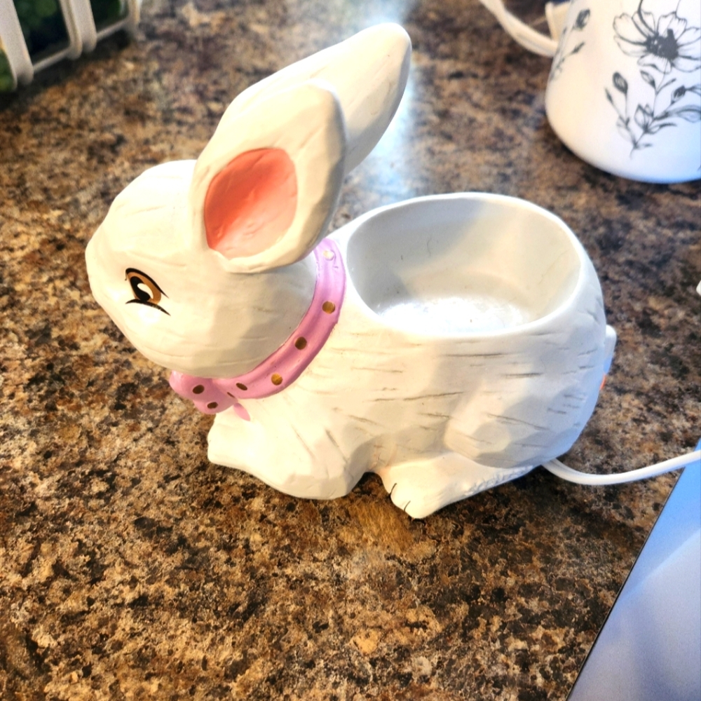 Scentsy Warmer